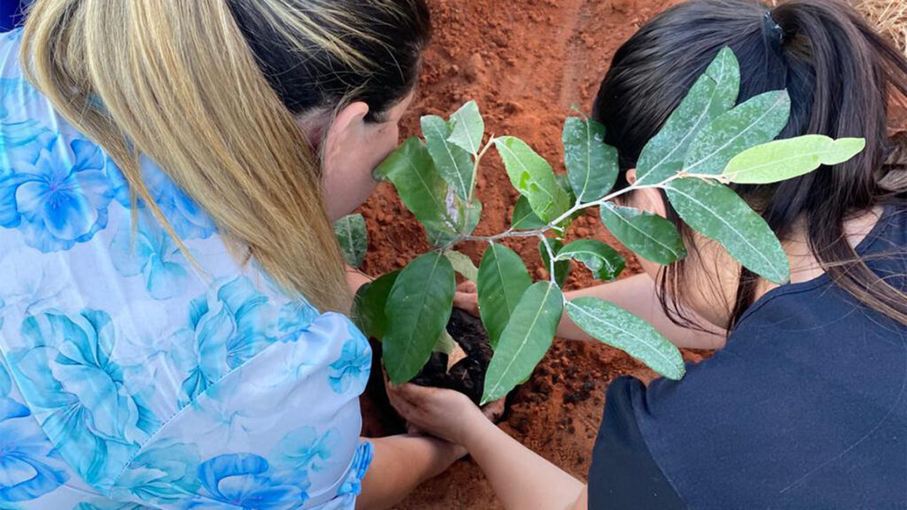 Ao todo, nove espécies foram plantadas; projeto é contínuo e tem por objetivo criar espaços de sombreamento natural e conscientizar sobre o Meio Ambiente. (Foto: Sara Tavares)